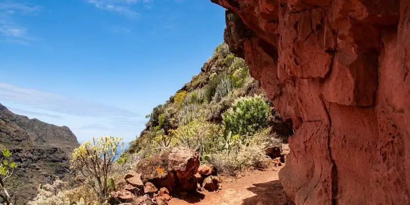 Teneriffa gemütlich erwandern - Bild 3