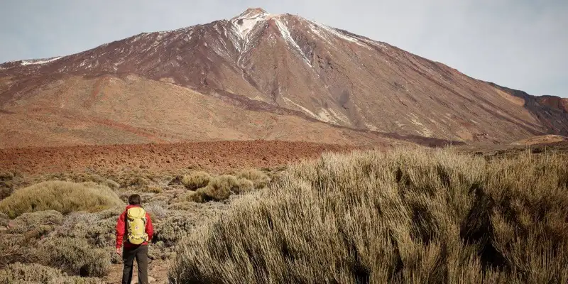 Die Highlights Teneriffas erwandern - Bild 4