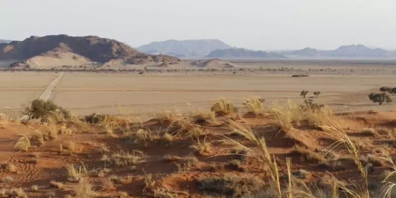 Namibias Naturwunder: Farbenpracht und grenzenlose Weite - Bild 10