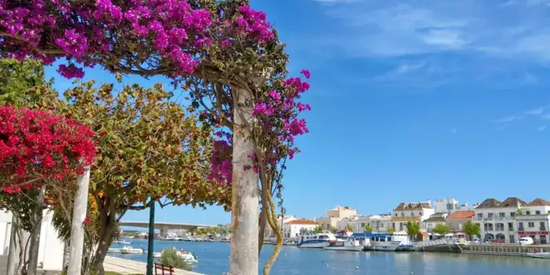 Individuelle Küstenwanderung an der Algarve - Bild 2