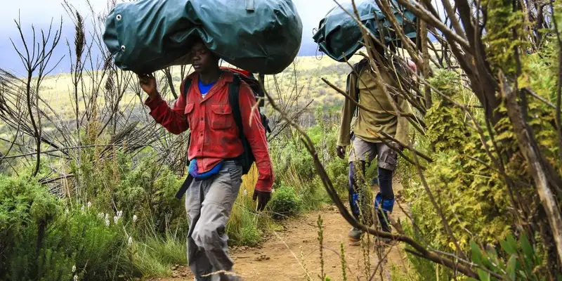 Kilimanjaro: Marangu-Route - Bild 9