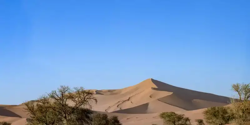 Namibia - die Wunderwelt der Wüsten - Bild 3