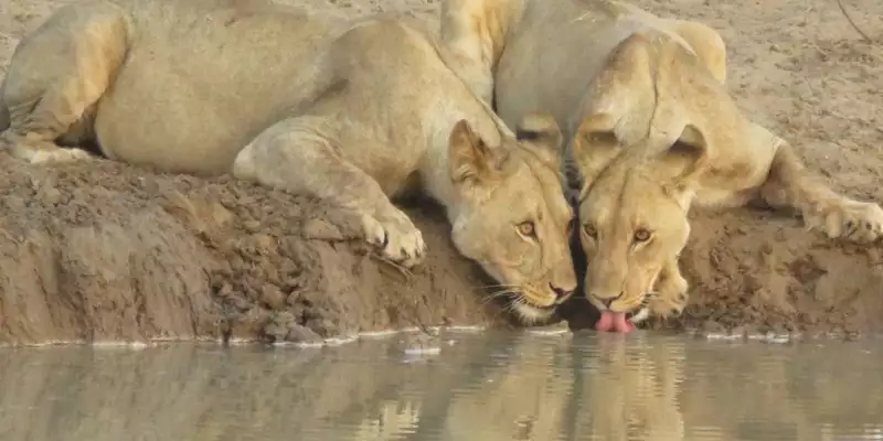 Namibias Naturwunder: Farbenpracht und grenzenlose Weite - Bild 31