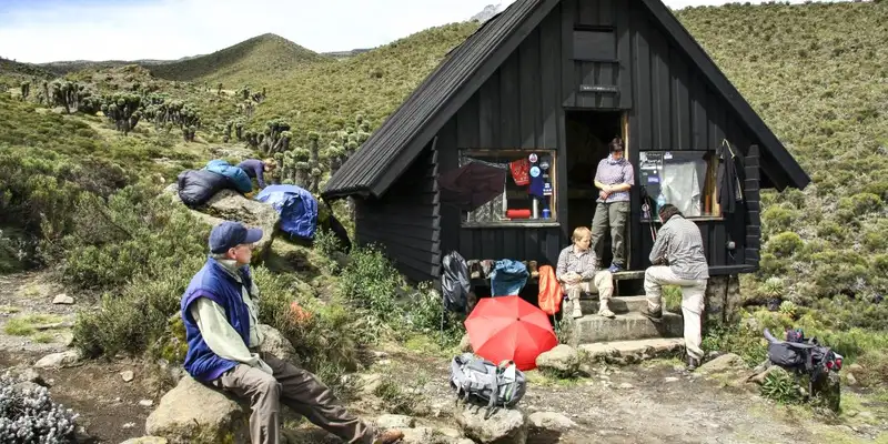 Kilimanjaro: Marangu-Route - Bild 5