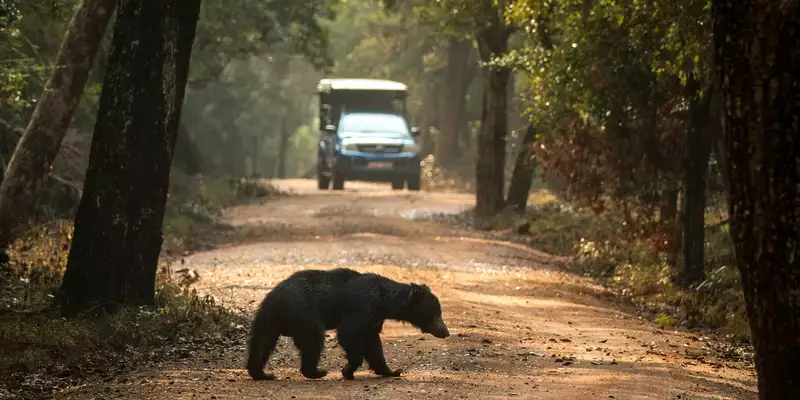 Sri Lankas Highlights erleben – Aktivreise durch Kultur und Natur - Bild 9