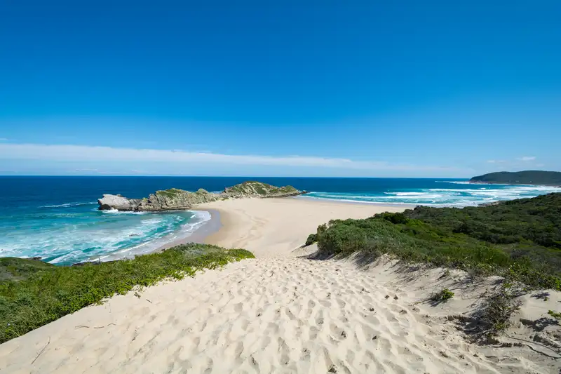 Südafrika - die Highlights der Kapregion entdecken - Bild 7