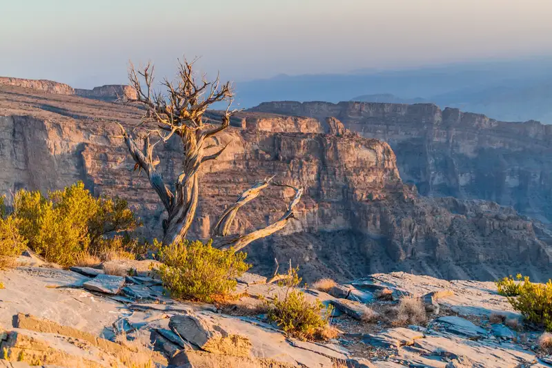 Oman entdecken – Ein verborgenes Juwel der Arabischen Halbinsel - Bild 15