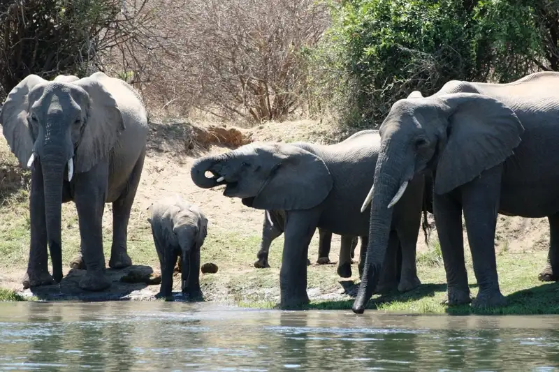 Südafrika - die Highlights der Kapregion entdecken - Bild 4