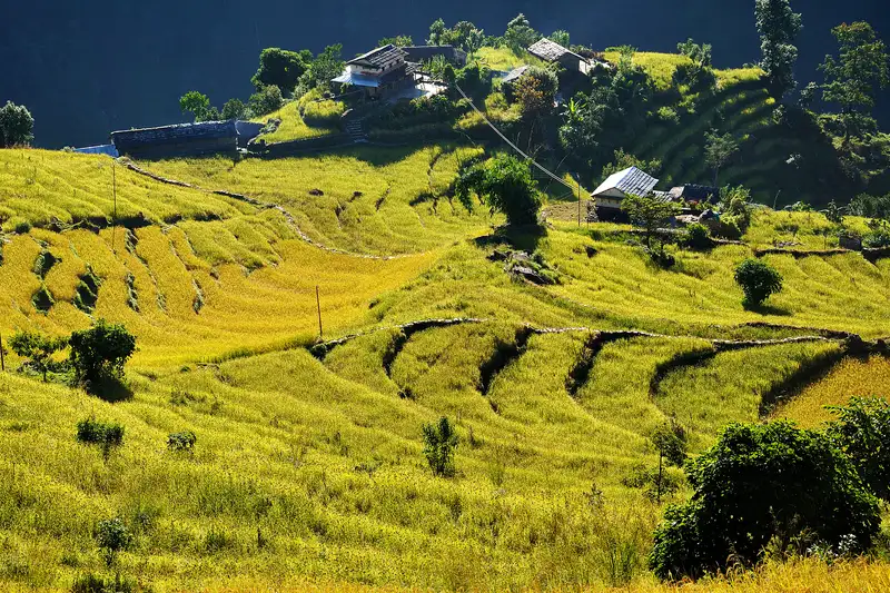 Nepals Highlights erleben – Aktivreise durch Nepal - Bild 16