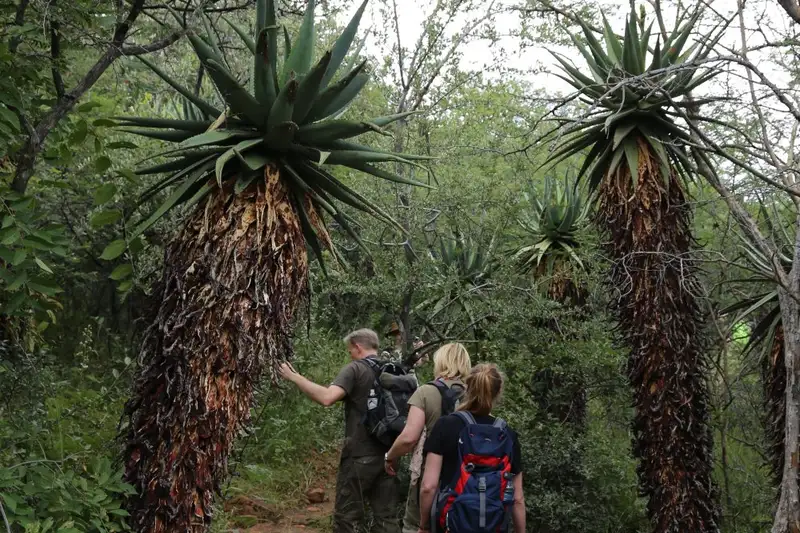 Namibias Naturwunder: Farbenpracht und grenzenlose Weite - Bild 26