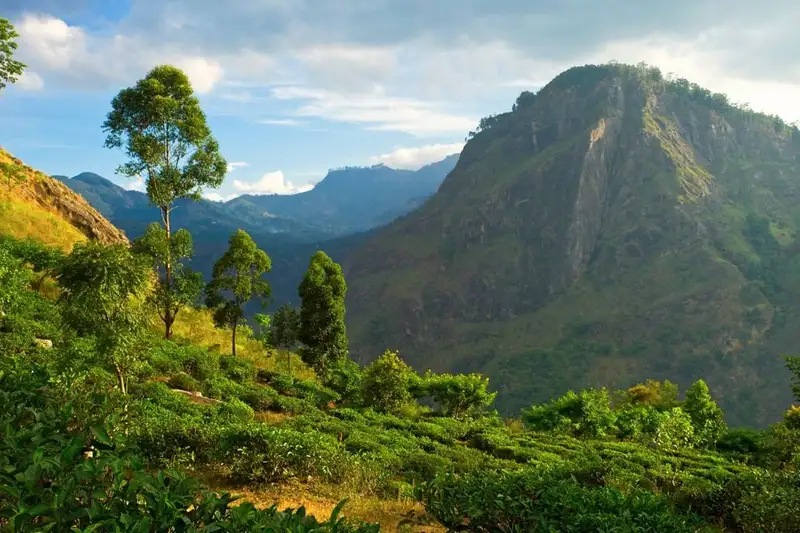 Sri Lanka komfortabel erwandern - Bild 11
