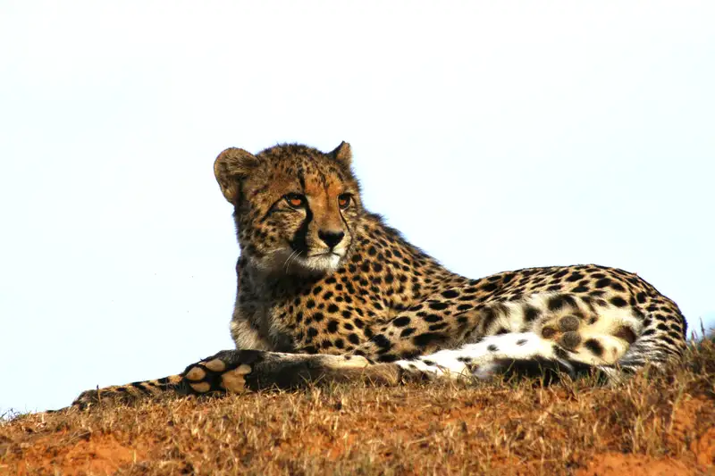 Südafrika komfortabel erwandern - Bild 4