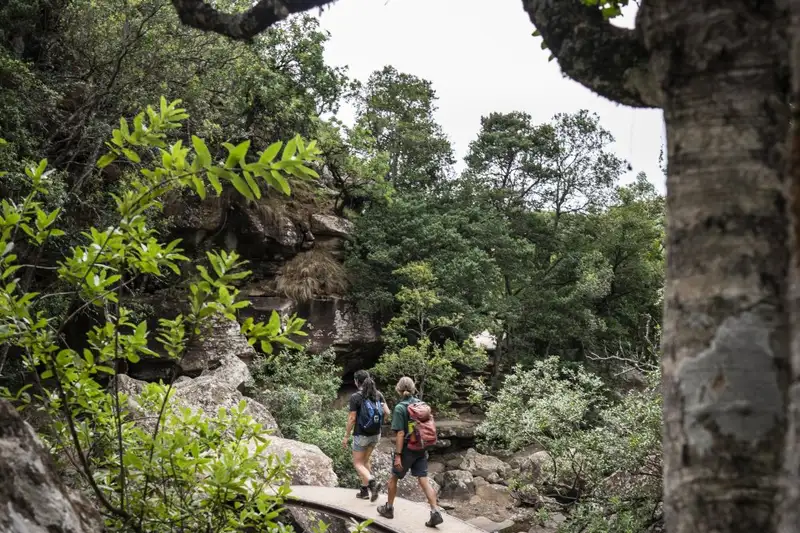 Südafrika - Afrikas Wildnis im Nordosten hautnah erleben - Bild 17