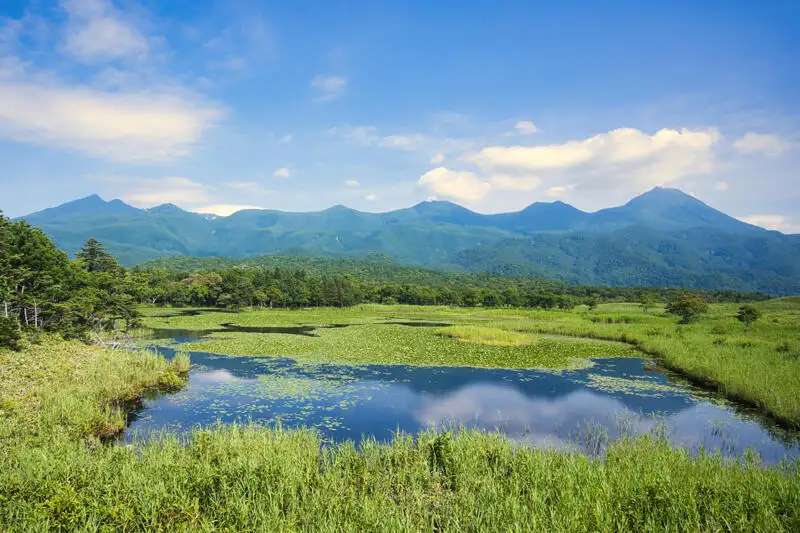 Japan - von Hokkaido bis Tokyo - Bild 9