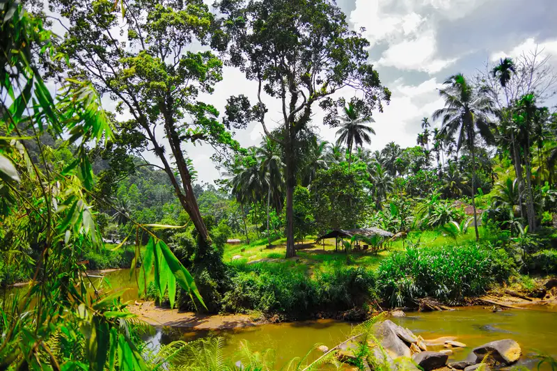Sri Lanka komfortabel erwandern - Bild 1