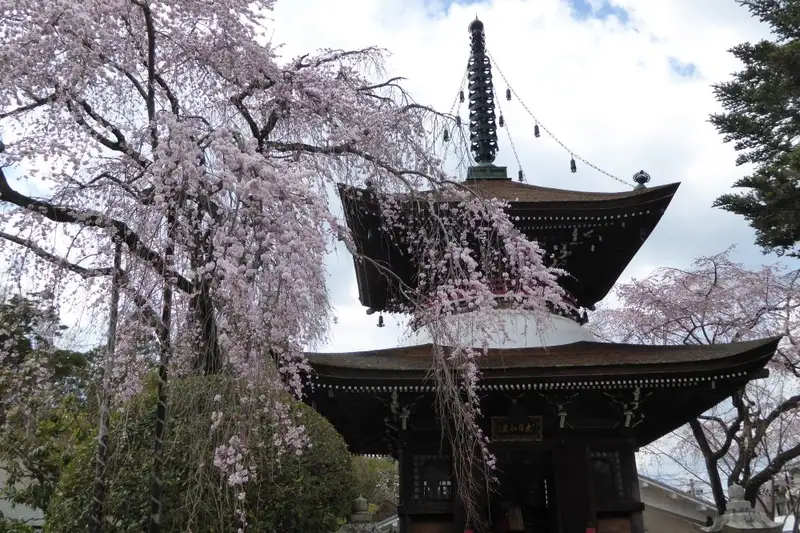 Japan: Kirschblüte oder Herbstlaub zaubern Farbenwunder - Bild 21