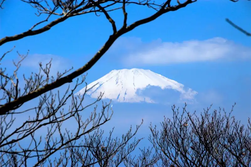Japan: Kirschblüte oder Herbstlaub zaubern Farbenwunder - Bild 20