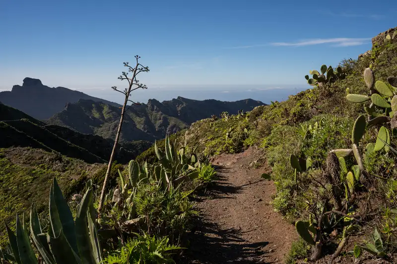 Teneriffa gemütlich erwandern - Bild 5
