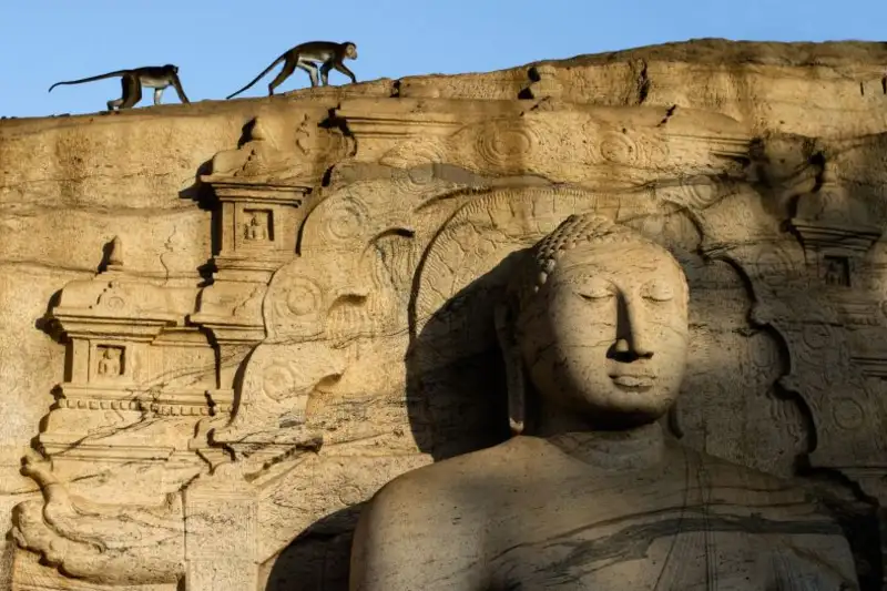 Sri Lankas Highlights erleben – Aktivreise durch Kultur und Natur - Bild 6