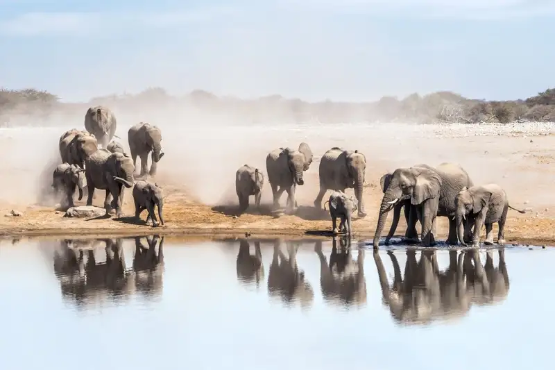 Südafrika, Namibia, Botswana, Simbabwe - Entdeckungsreise durch das südliche Afrika - Bild 7