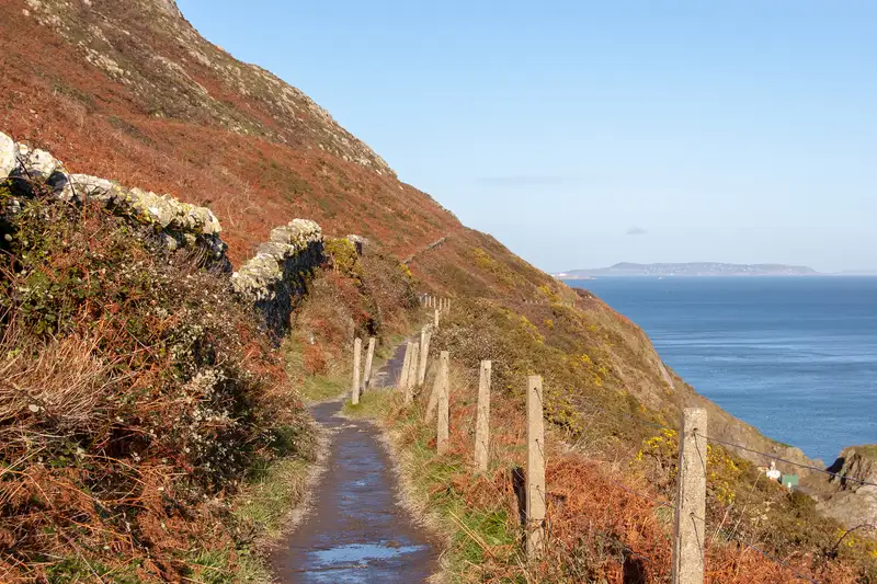 Irland - die Wicklows gemütlich erwandern - Bild 11