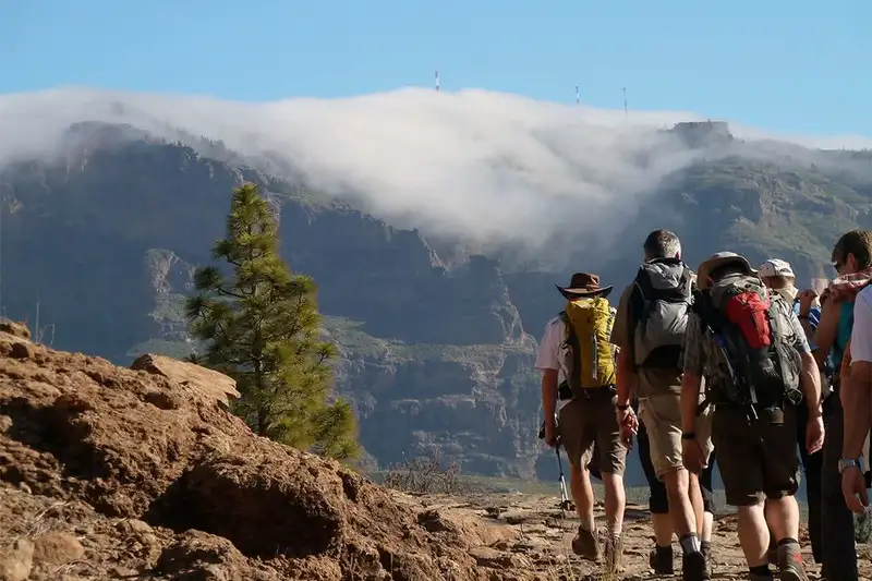 Die Highlights Gran Canarias erwandern - Bild 4