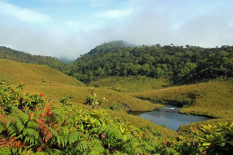 Sri Lanka komfortabel erwandern - Bild 7