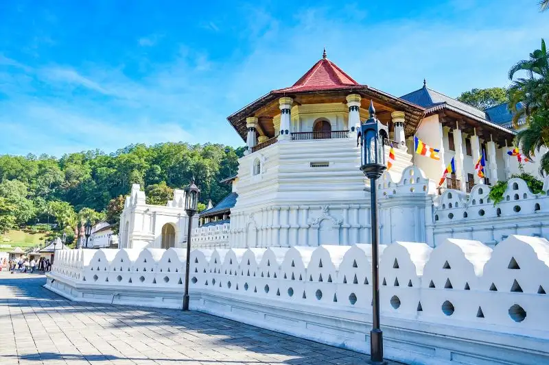 Sri Lankas Highlights erleben – Aktivreise durch Kultur und Natur - Bild 7
