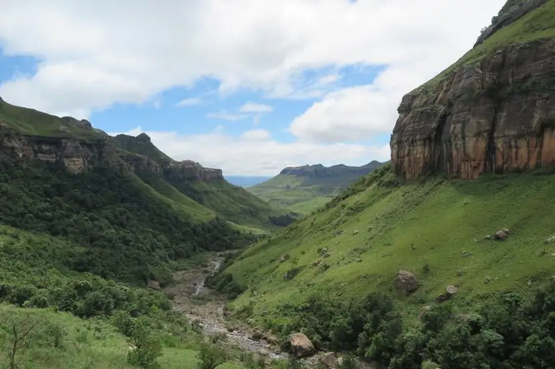 Südafrika - Afrikas Wildnis im Nordosten hautnah erleben - Bild 28