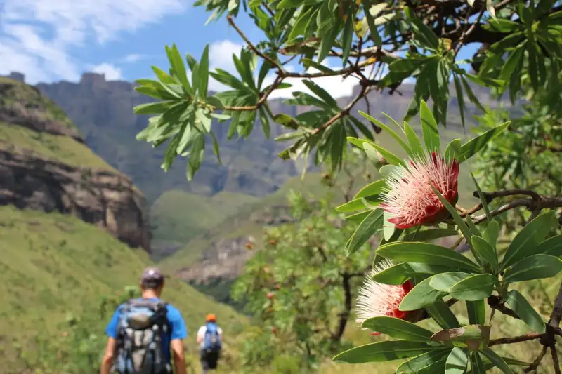 Südafrika - Afrikas Wildnis im Nordosten hautnah erleben - Bild 23
