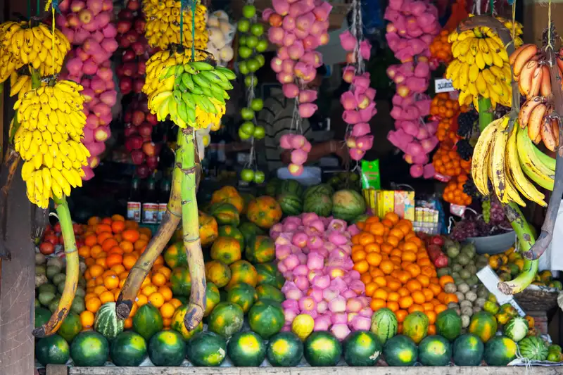 Sri Lankas Highlights erleben – Aktivreise durch Kultur und Natur - Bild 11