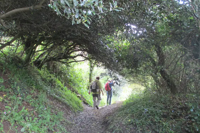 Der Great Glen Way - Schottland wie aus dem Bilderbuch - Bild 3