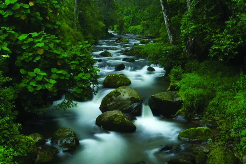 Costa Rica naturnah erwandern - Bild 9