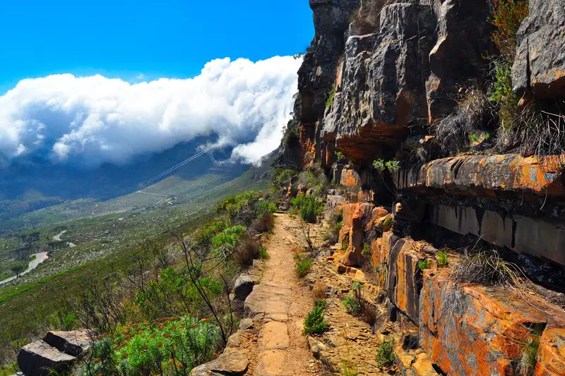 Südafrika - die Highlights der Kapregion entdecken - Bild 15
