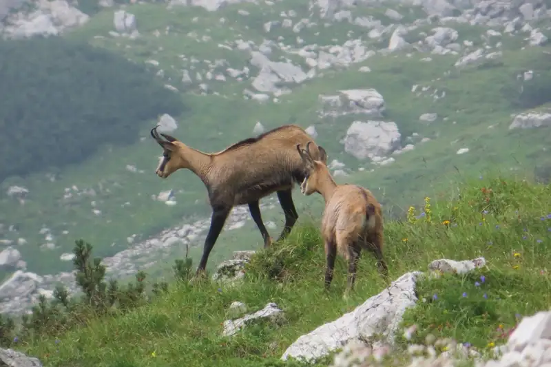 Allgäu Durchquerung - Bild 17