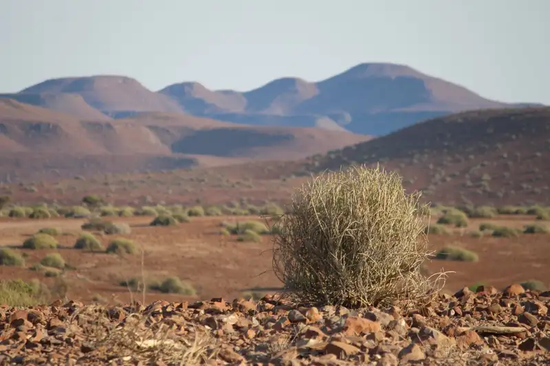 Namibias Naturwunder: Farbenpracht und grenzenlose Weite - Bild 13