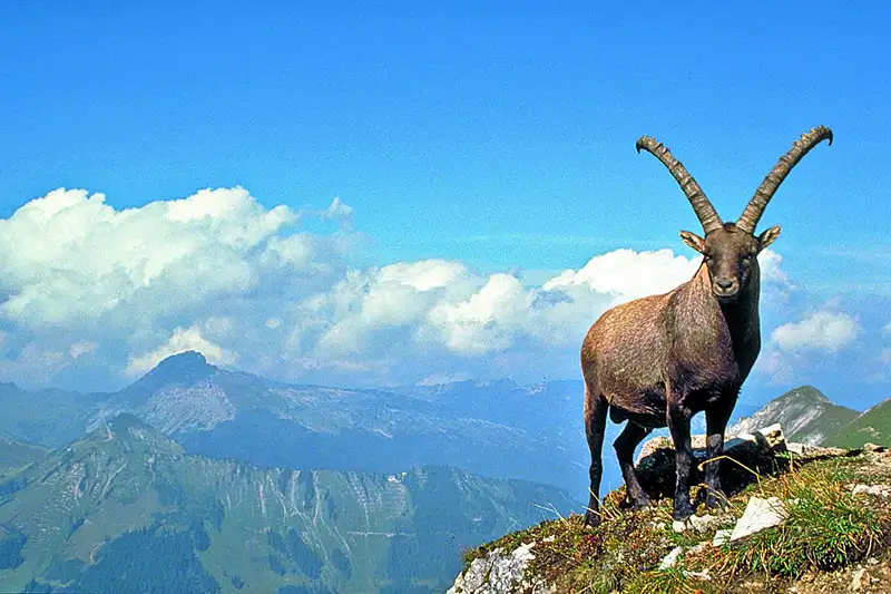 Unterwegs auf dem Heilbronner Höhenweg - Bild 1