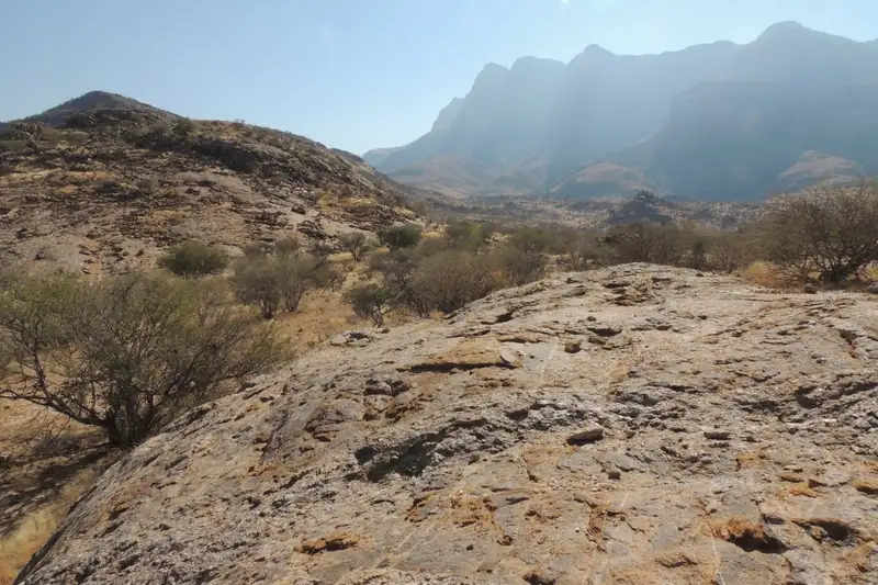 Namibia & Botswana - Tiervielfalt zwischen Wüstenbergen und Flussoasen - Bild 16
