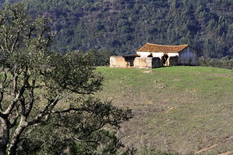 Entlang der Atlantikküste Portugals: Wilde Schönheit und bunte Hafenstädtchen - Bild 12