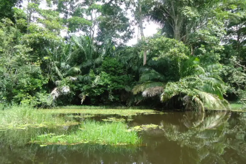 Costa Rica naturnah erwandern - Bild 5