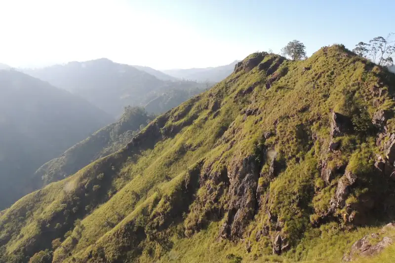 Magisches Sri Lanka - Eine Reise durch Geschichte, Natur und Kultur - Bild 5