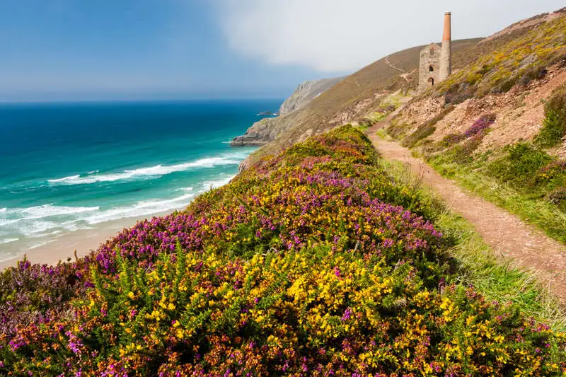 Cornwall individuell entdecken - Bild 8