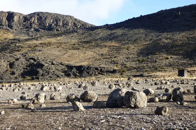 In Kleingruppen auf den Kilimanjaro: Lemosho-Route (Northern Circuit)  - Bild 16