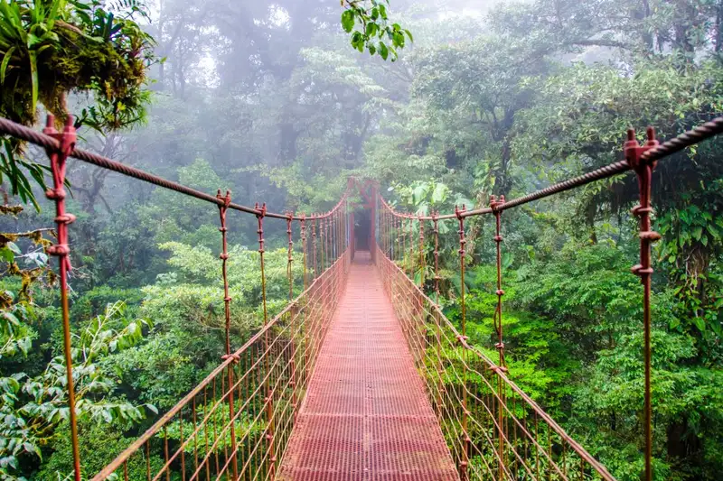 Costa Rica - Entdeckungsreise zu unberührten Nationalparks und lebendiger Kultur - Bild 1