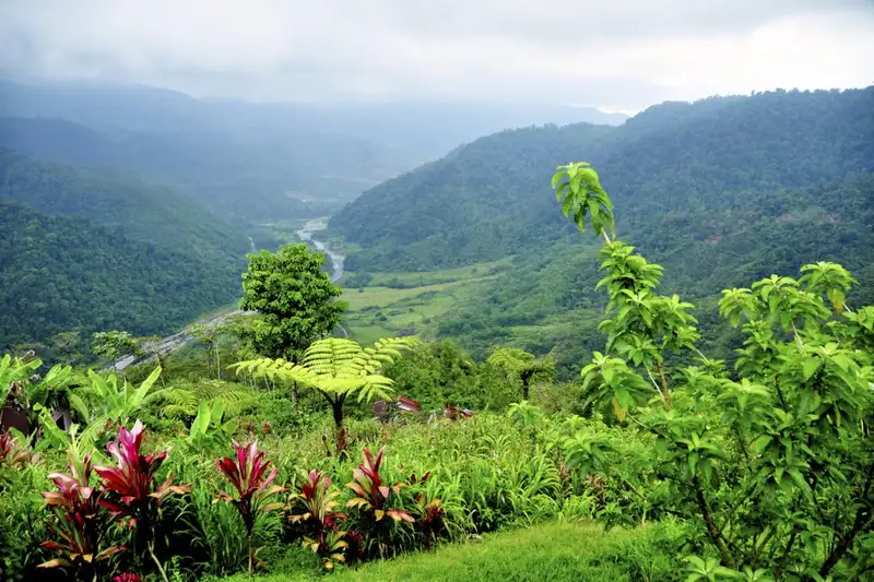Costa Rica - Entdeckungsreise zu unberührten Nationalparks und lebendiger Kultur - Bild 14
