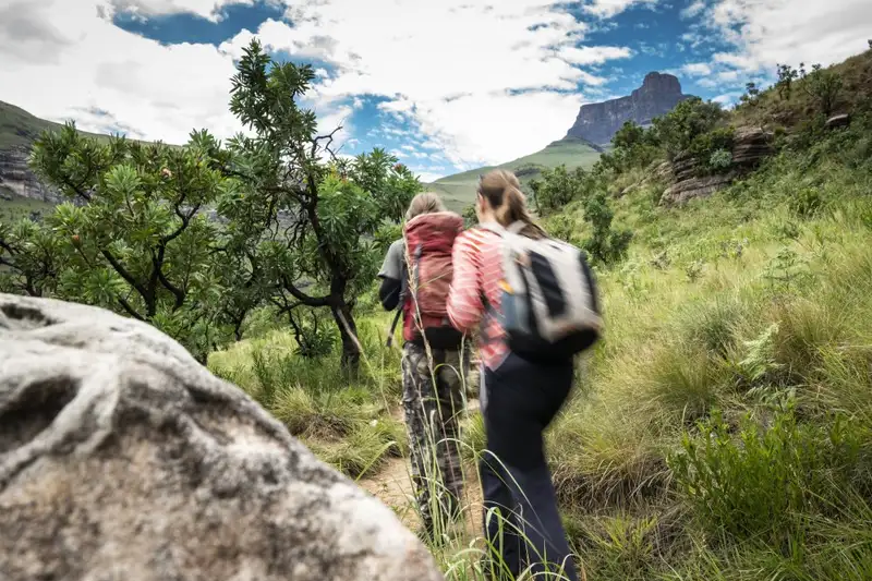 Südafrika - Afrikas Wildnis im Nordosten hautnah erleben - Bild 11