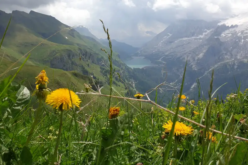 Individuelle Wanderwoche entlang des Dolomitenhöhenwegs Nr. 1 - Bild 9