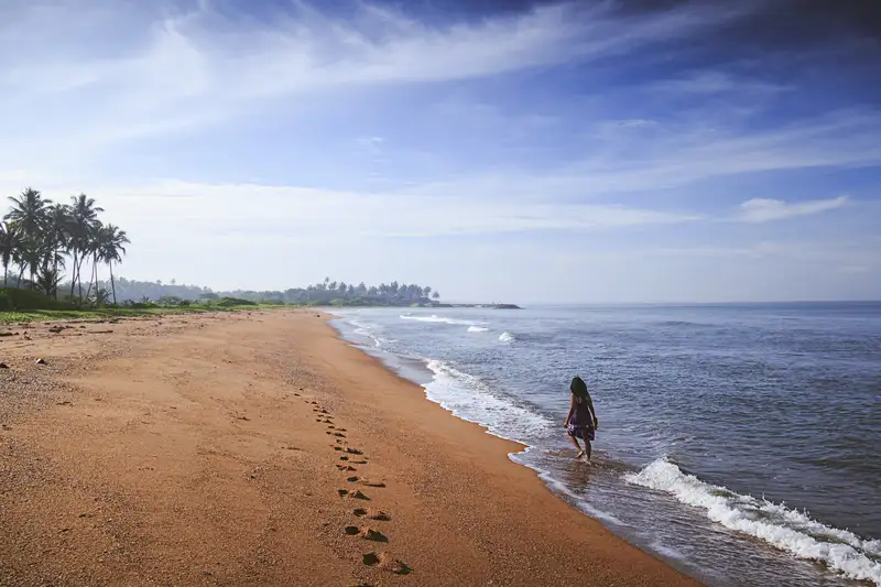 Sri Lankas Highlights erleben – Aktivreise durch Kultur und Natur - Bild 12