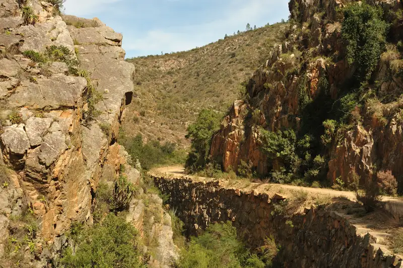 Südafrika - die Highlights der Kapregion entdecken - Bild 8
