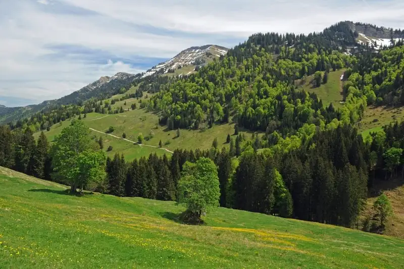 Wandern im Naturpark Nagelfluhkette - Bild 10